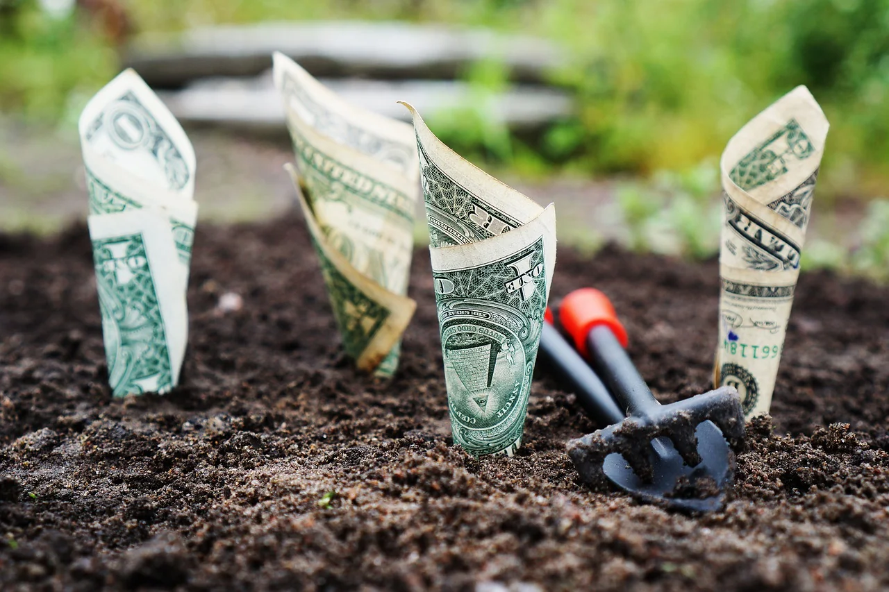 Money growing in soil