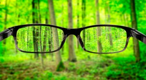 How You Can Benefit from Blurry Vision