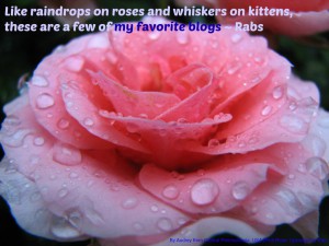 The Blogs I Love