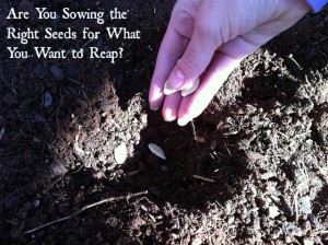 Are You Sowing the Right Seeds for What You Want to Reap?