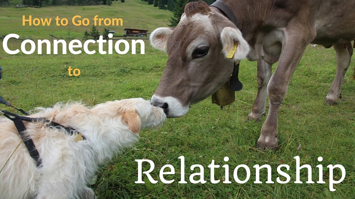 How to Go from Connection to Relationship