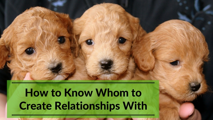 How to Know Whom to Create Relationships With