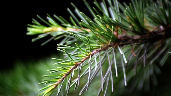 How to Get Job Security by Improving One Skill