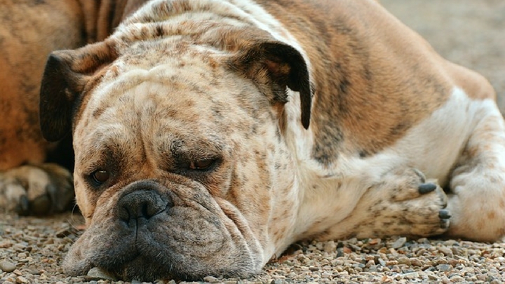 Want Greater Success? Learn to Tolerate More of This…