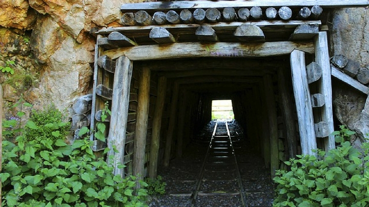 How to Mine Veterans to Find the Best Employees